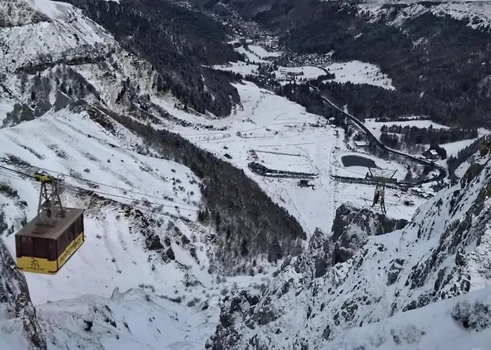 Fenestre D 아파트